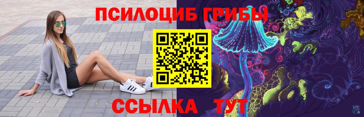Псилоцибиновые грибы Cubensis  Псилоцибиновые грибы мицелий  Реж  даркнет сайт  Вход с VPN 